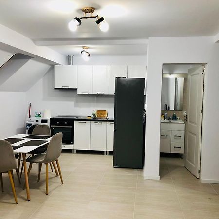 New And Modern Apartments In Villa, Near City Center M36 Temeşvar Dış mekan fotoğraf