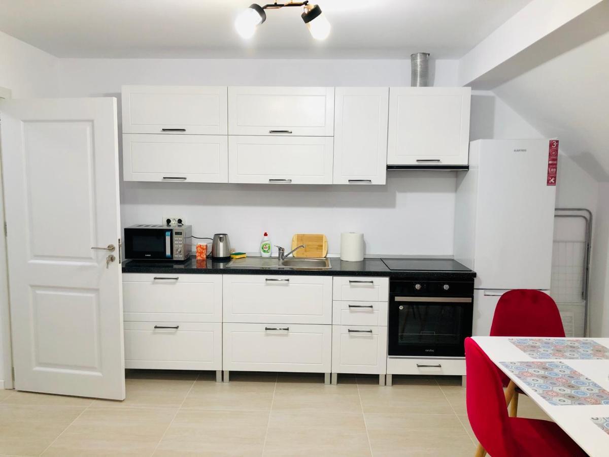 New And Modern Apartments In Villa, Near City Center M36 Temeşvar Dış mekan fotoğraf