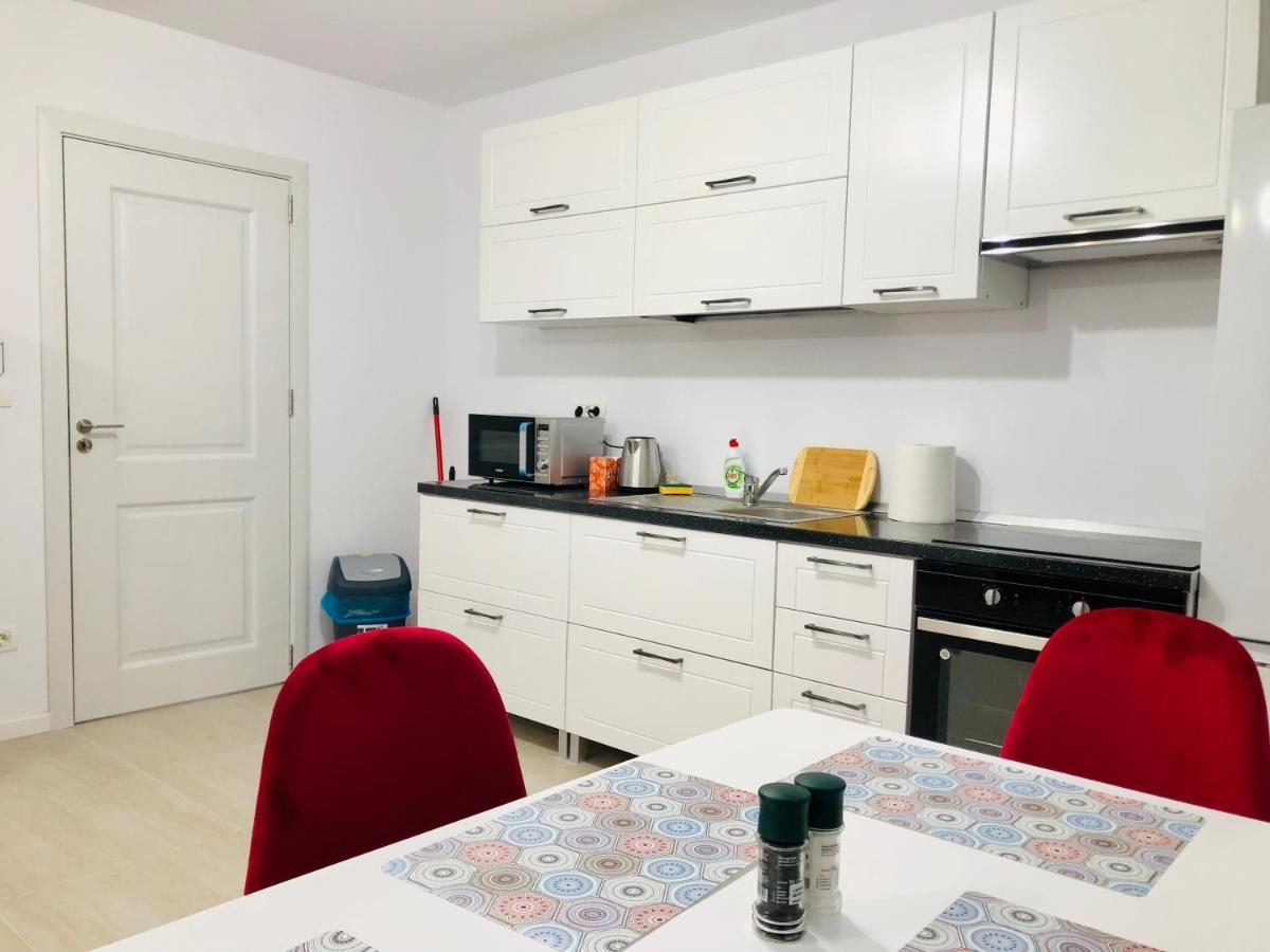 New And Modern Apartments In Villa, Near City Center M36 Temeşvar Dış mekan fotoğraf