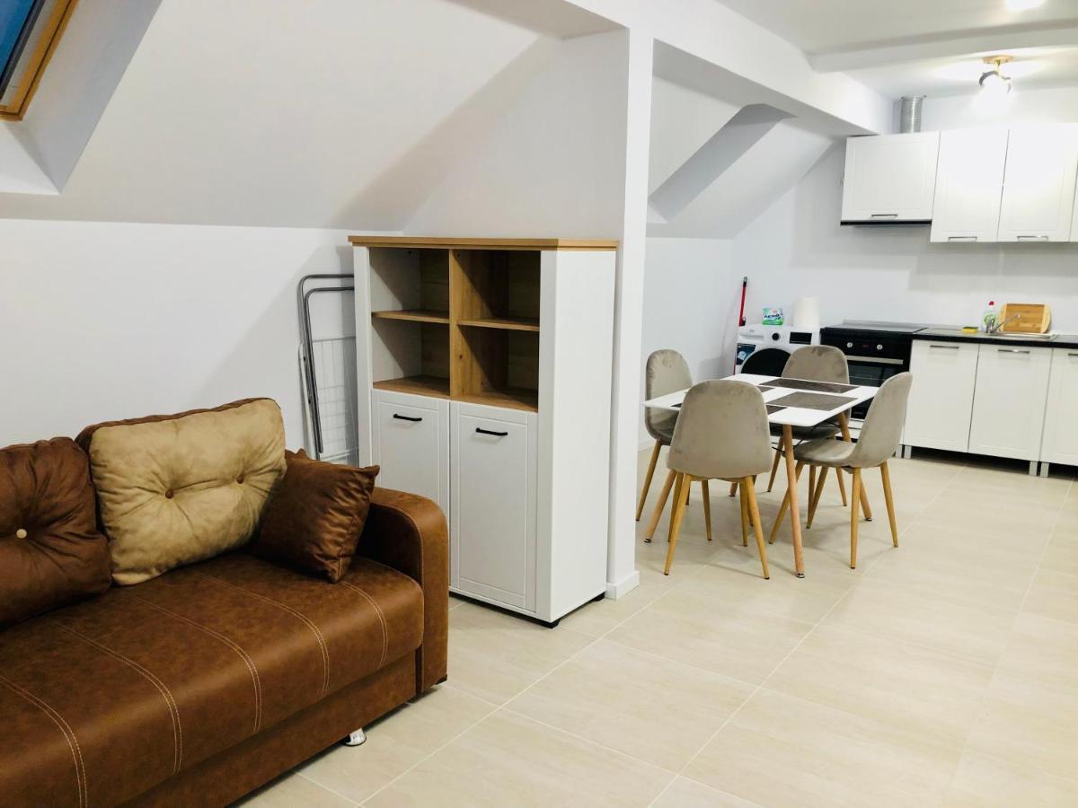 New And Modern Apartments In Villa, Near City Center M36 Temeşvar Dış mekan fotoğraf