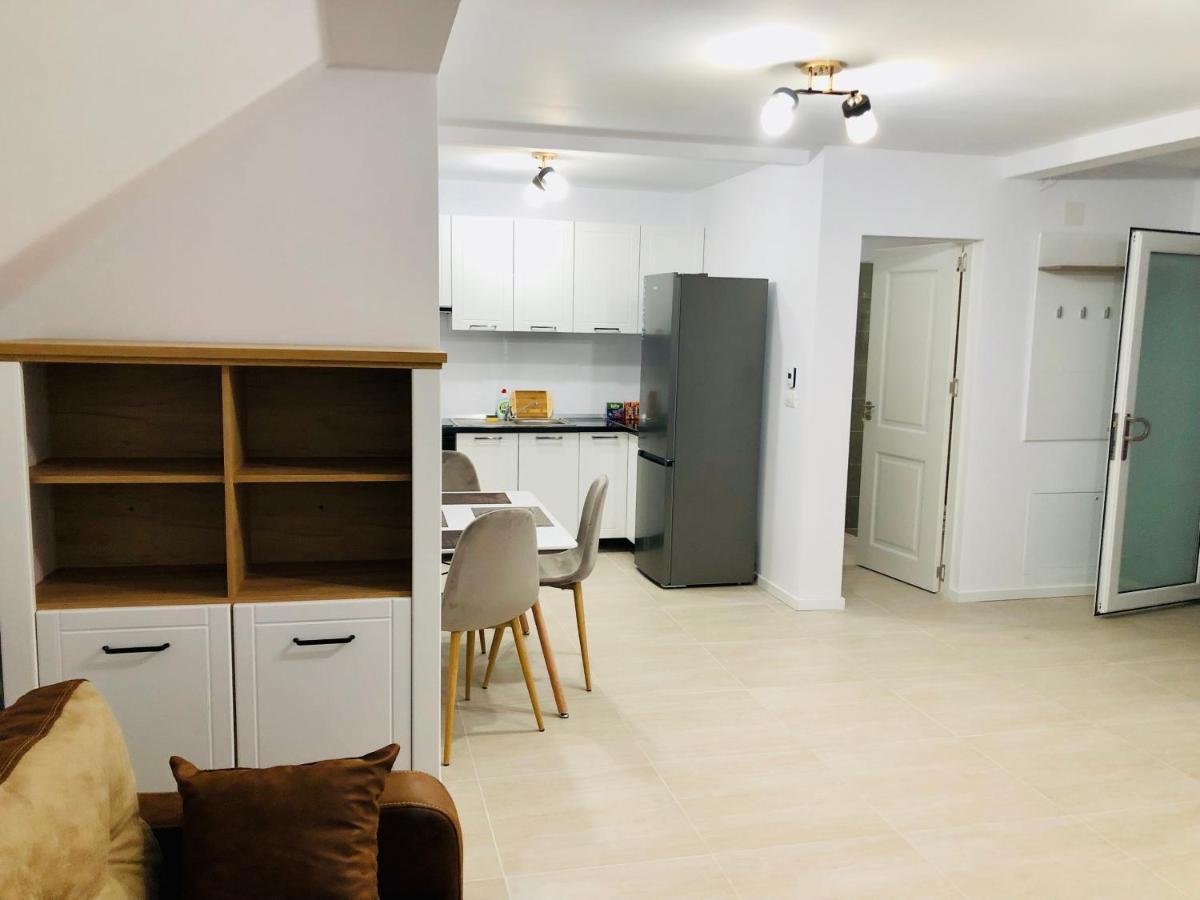 New And Modern Apartments In Villa, Near City Center M36 Temeşvar Dış mekan fotoğraf