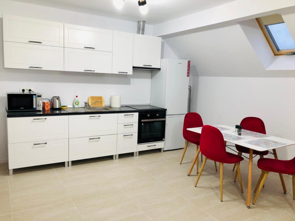 New And Modern Apartments In Villa, Near City Center M36 Temeşvar Dış mekan fotoğraf
