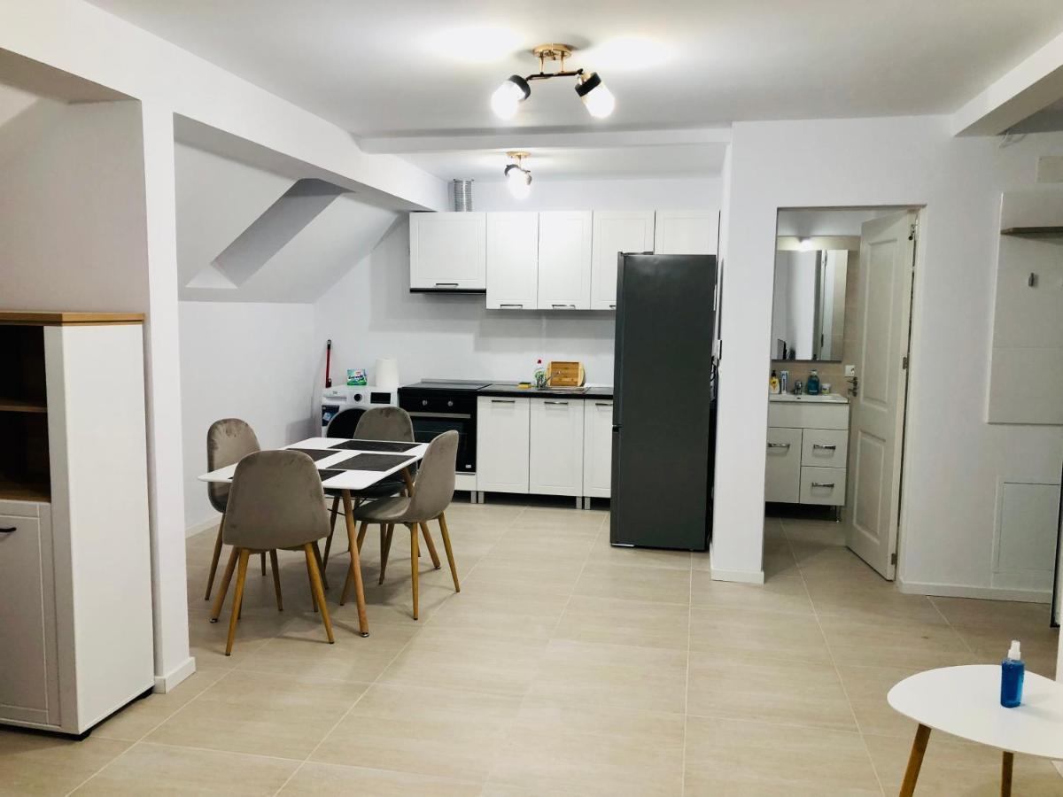 New And Modern Apartments In Villa, Near City Center M36 Temeşvar Dış mekan fotoğraf