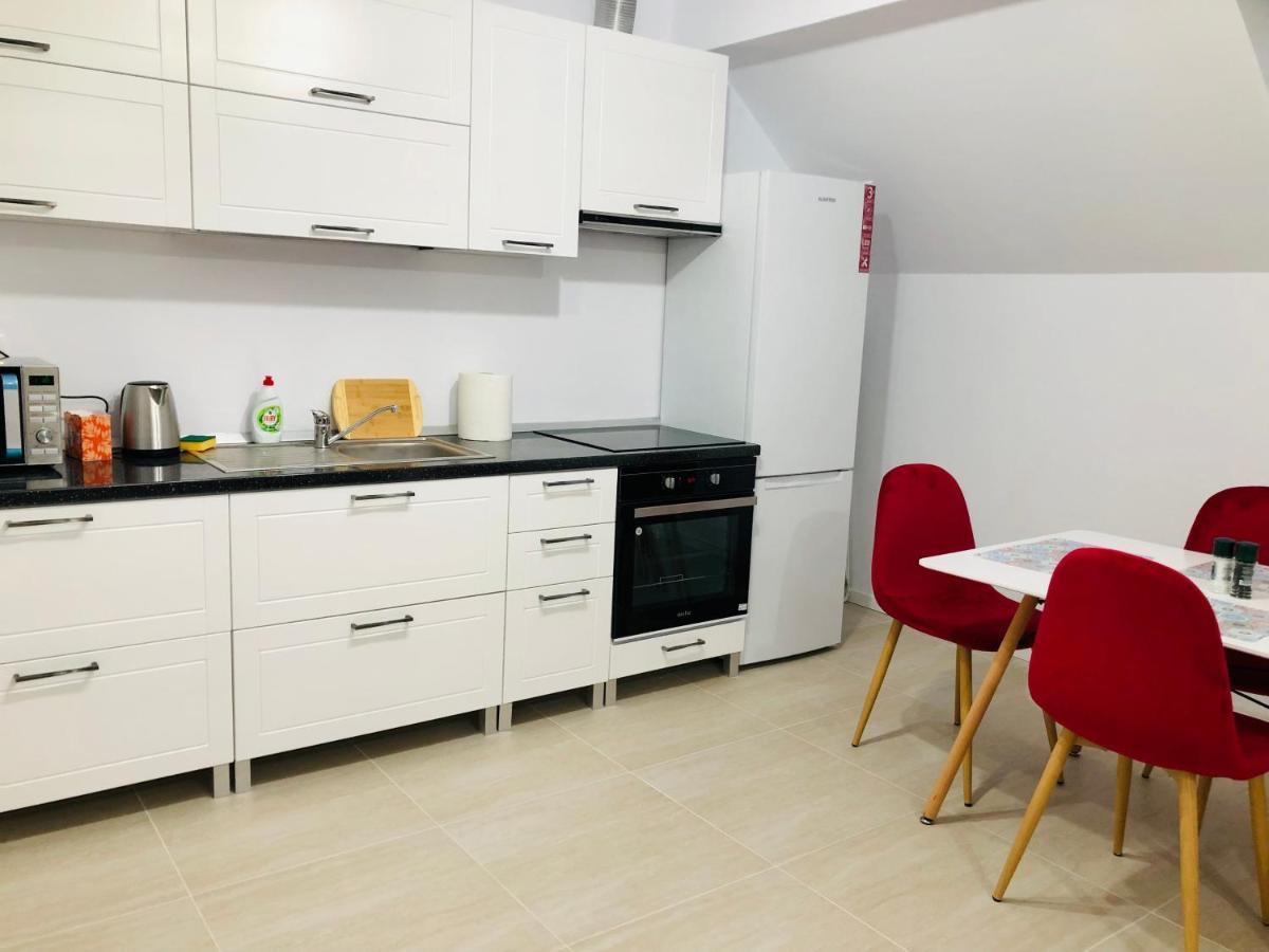 New And Modern Apartments In Villa, Near City Center M36 Temeşvar Dış mekan fotoğraf