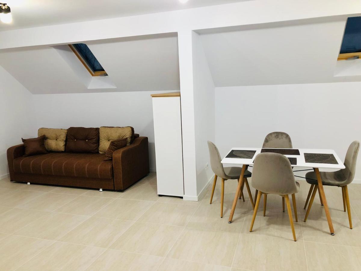 New And Modern Apartments In Villa, Near City Center M36 Temeşvar Dış mekan fotoğraf