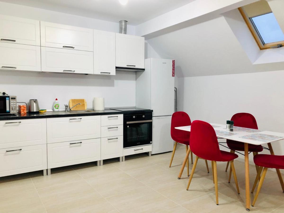 New And Modern Apartments In Villa, Near City Center M36 Temeşvar Dış mekan fotoğraf