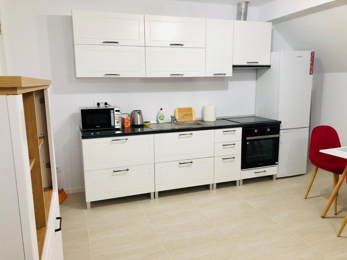 New And Modern Apartments In Villa, Near City Center M36 Temeşvar Dış mekan fotoğraf
