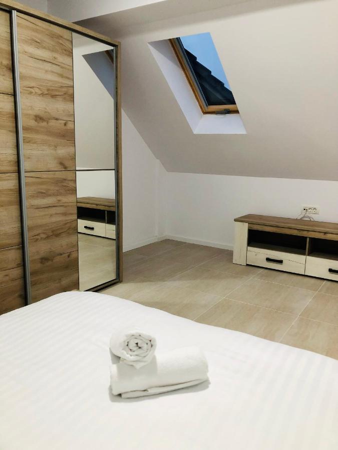 New And Modern Apartments In Villa, Near City Center M36 Temeşvar Dış mekan fotoğraf