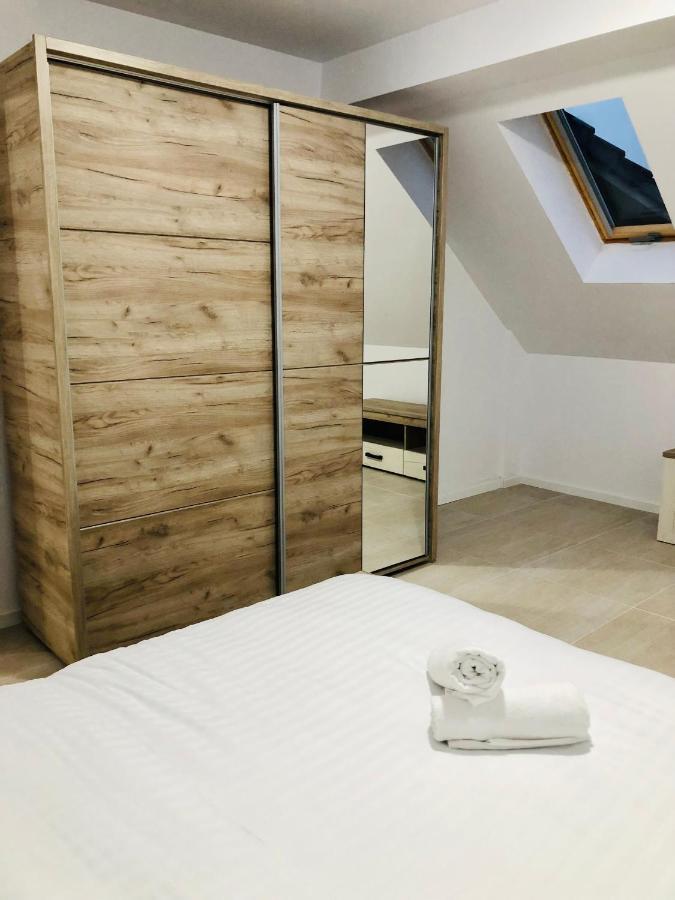 New And Modern Apartments In Villa, Near City Center M36 Temeşvar Dış mekan fotoğraf