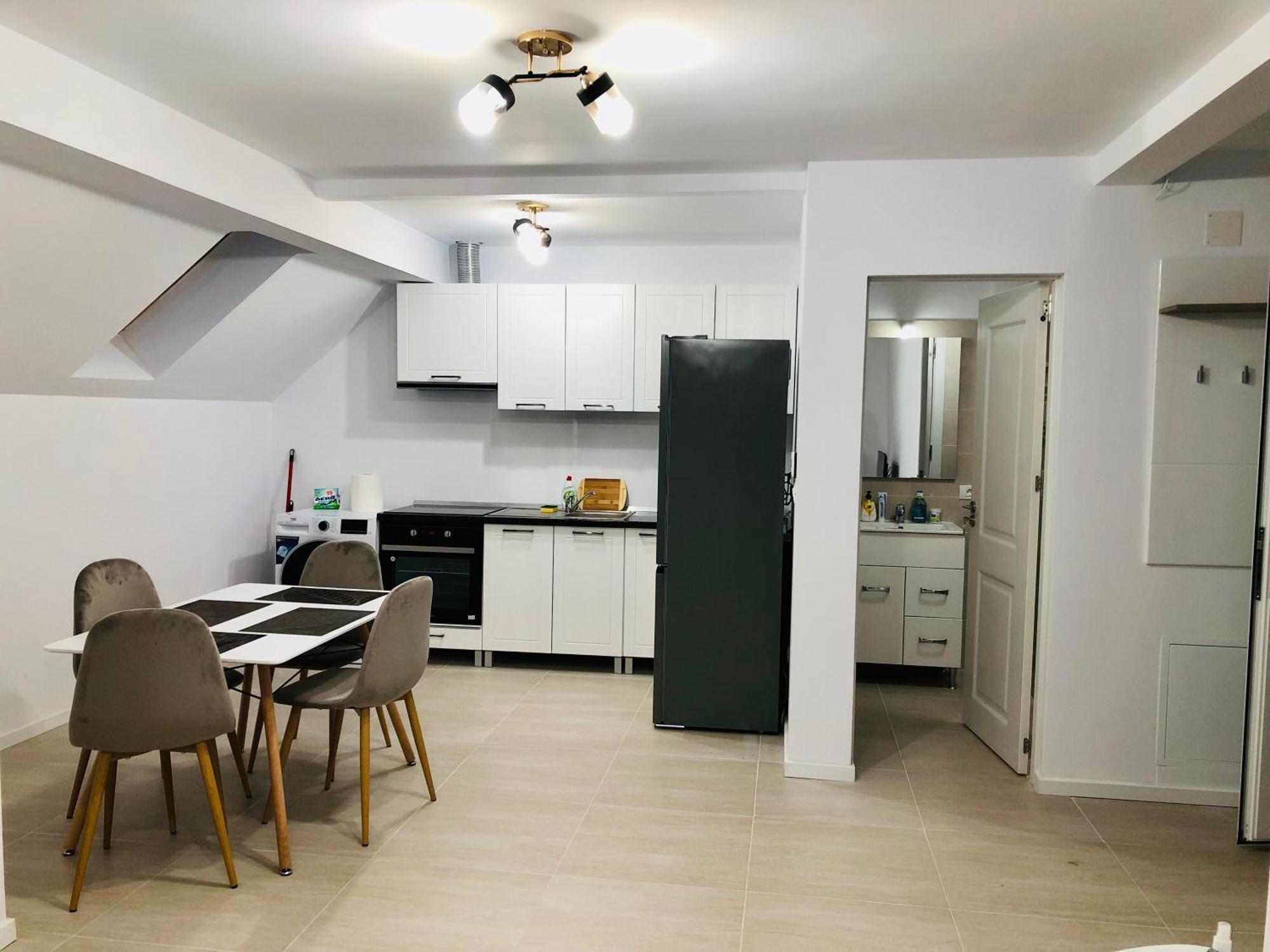 New And Modern Apartments In Villa, Near City Center M36 Temeşvar Dış mekan fotoğraf