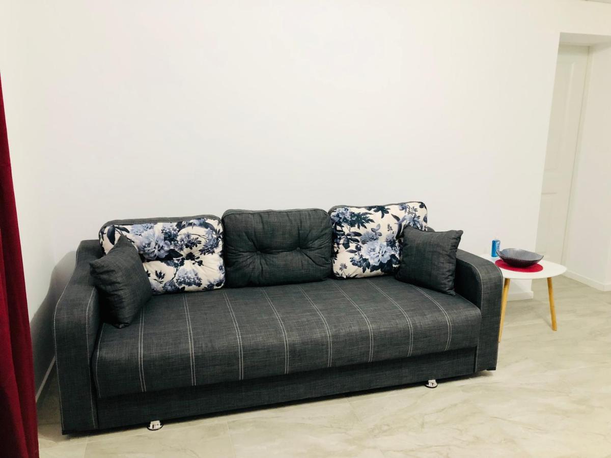 New And Modern Apartments In Villa, Near City Center M36 Temeşvar Dış mekan fotoğraf