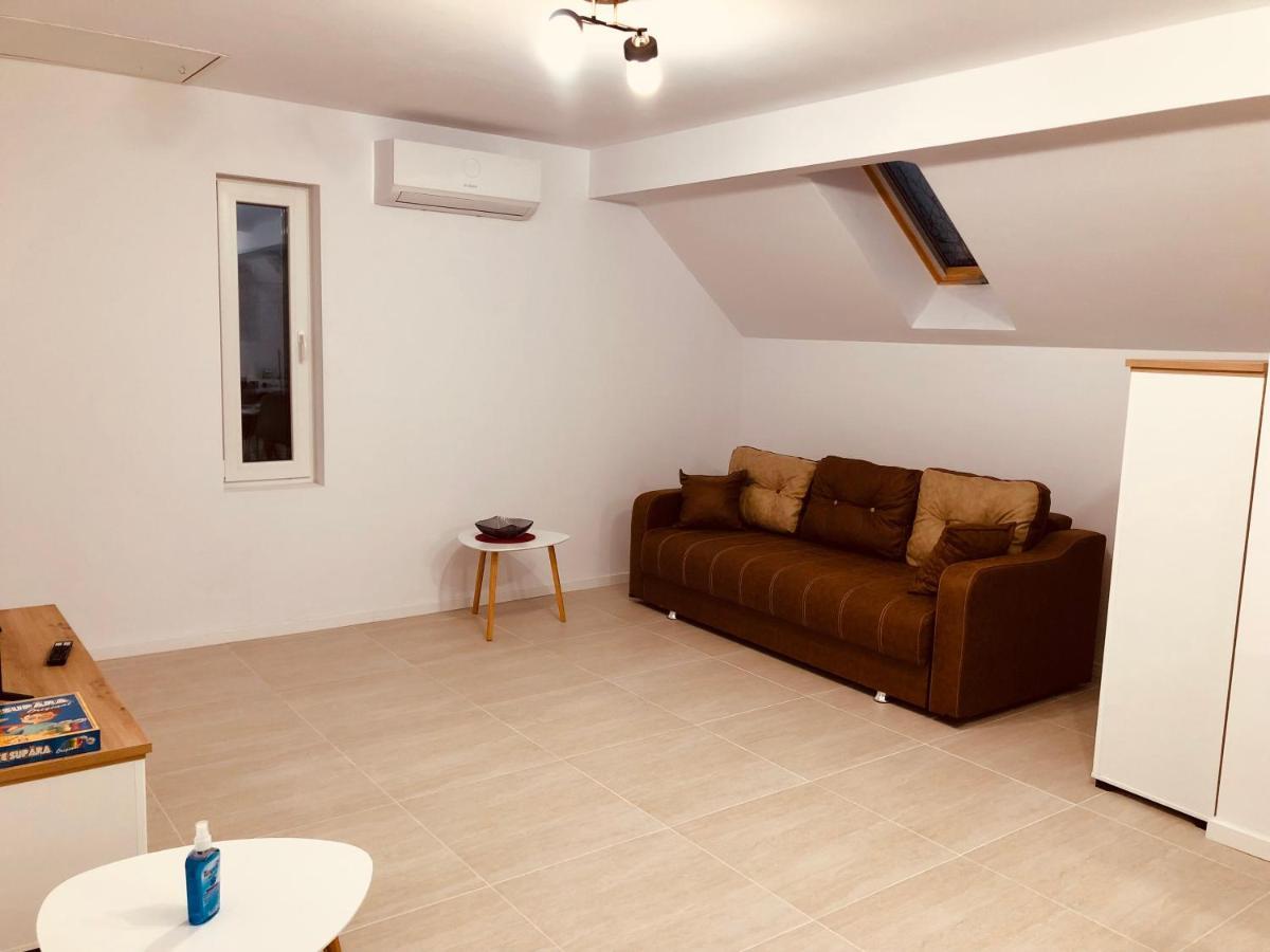 New And Modern Apartments In Villa, Near City Center M36 Temeşvar Dış mekan fotoğraf