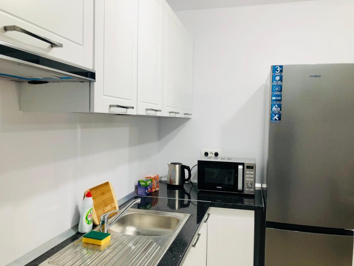 New And Modern Apartments In Villa, Near City Center M36 Temeşvar Dış mekan fotoğraf