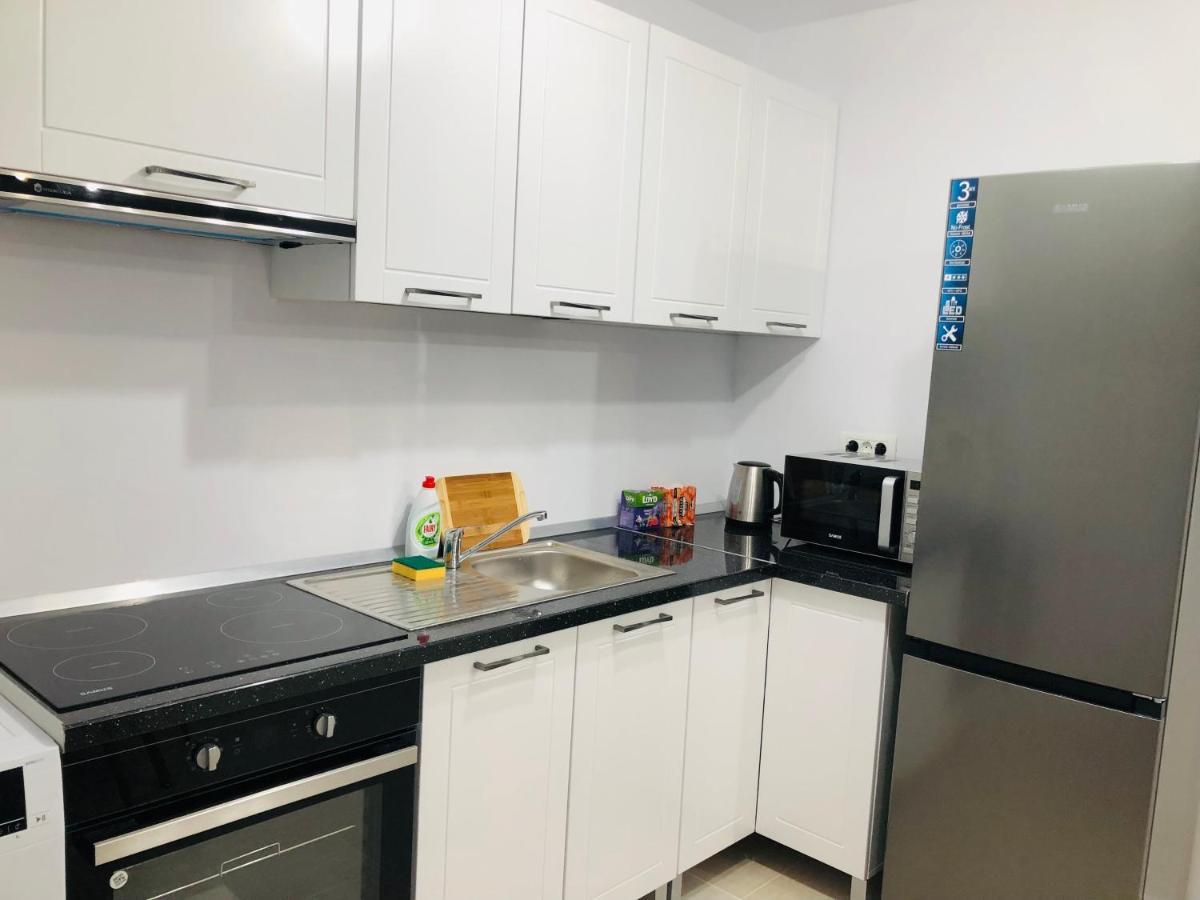 New And Modern Apartments In Villa, Near City Center M36 Temeşvar Dış mekan fotoğraf